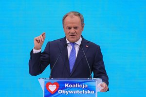 Iš D. Tusko – kritika Lenkijos dešiniųjų pažiūrų politikams dėl simpatijų Vokietijos partijai AfD