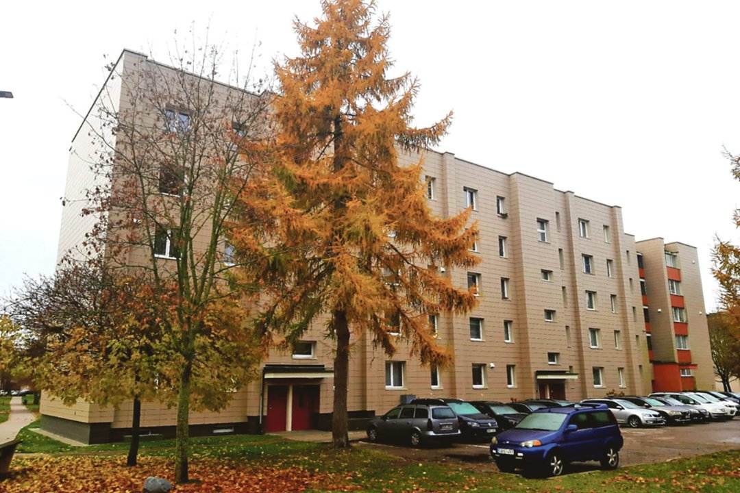 Plaukai piestu pasistojo išgirdus, ko prašo kaimynai: „Gal geriau būtų pasiimti šluotą ir sutvarkyti kiemą?“