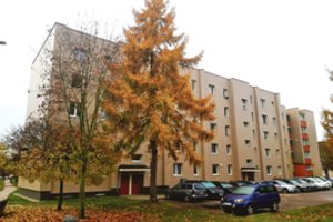 Plaukai piestu pasistojo išgirdus, ko prašo kaimynai: „Gal geriau būtų pasiimti šluotą ir sutvarkyti kiemą?“