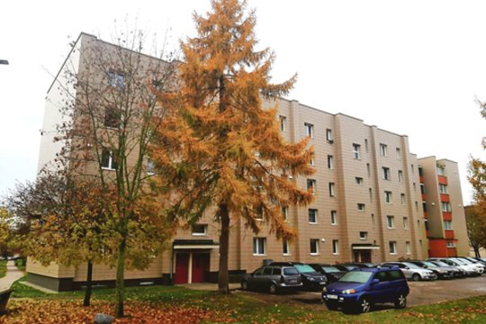 Plaukai piestu pasistojo išgirdus, ko prašo kaimynai: „Gal geriau būtų pasiimti šluotą ir sutvarkyti kiemą?“