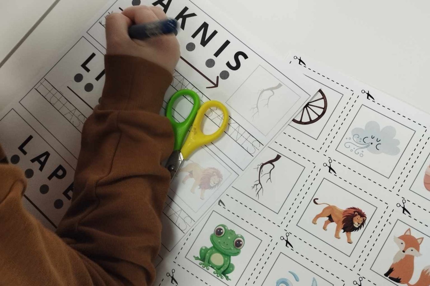 „Nepaprastuko“ veikla siekia ne tik suteikti pagalbą vaikams, bet ir prisidėti prie platesnio pokyčio – keisti visuomenės požiūrį į „kitokį mokymosi būdą“.<br> Pranešimo žiniasklaidai nuotr.