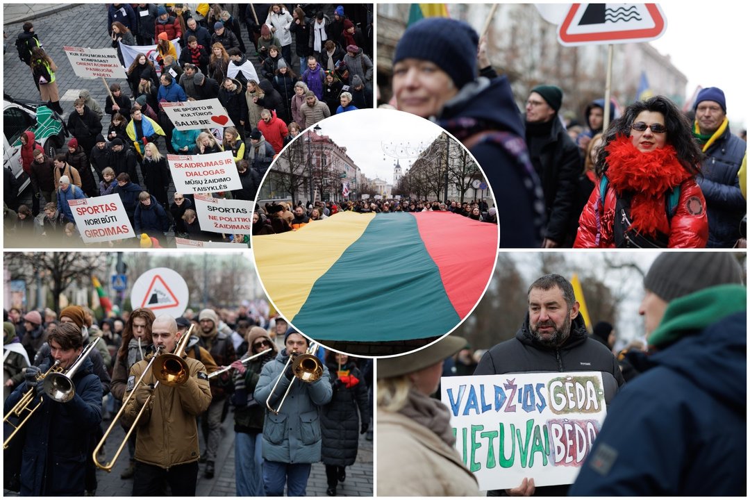 Kultūrininkų mitingas<br>V.Skaraičio nuotr.