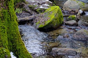Įžūli vagystė Molėtų rajone: ilgapirščiai pagrobė savadarbį tiltelį