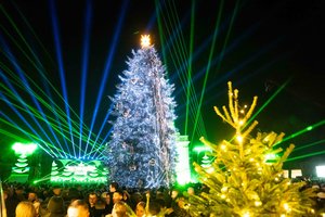 Kaunas spindi ir džiūgauja: pirmoji įžiebta Lietuvos žaliaskarė – tikra žiemos karalienė