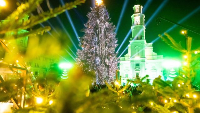 Nufilmavo, kaip įsižiebia Kauno Kalėdų eglė: parodė savo rūbą