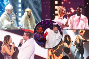 „Žvaigždžių duetų“ užkulisiuose – intriga