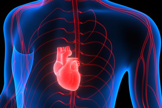 Įsidėmėkite: 3 netikėti organizmo signalai gali įspėti apie artėjantį širdies smūgį