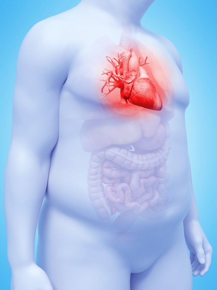 širdies sveikata<br>Asociatyvinė 123rf iliustr.