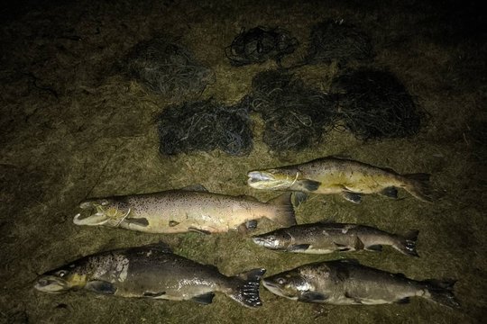 Aplinkosaugininkų rankose – gerai pažįstami veikėjai: sekti teko 20 km, bet vis tiek pagavo