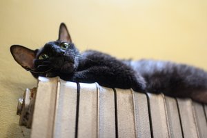 Taip daro visi šildymo ekspertai: 30 sekundžių triukas sustiprina radiatorių darbą – namai sušyla akimirksniu