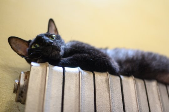 Taip daro visi šildymo ekspertai: 30 sekundžių triukas sustiprina radiatorių darbą – namai sušyla akimirksniu