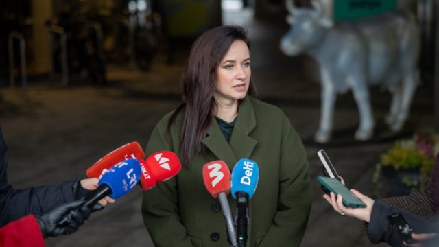 I. Ruginienė – apie veiksmus, jei situacija dėl kontrabandinių balionų nesikeis: čia ne vienintelė priemonė 