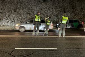 Ne tik balionai: pasienyje apgręžta 20 neteisėtų migrantų