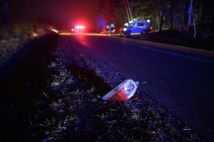 Girtas BMW vairuotojas Trakų r. rėžėsi į „Audi“ – nukentėjo žmogus