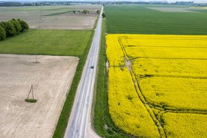 Po sėjomainos reikalavimų – pagalba ūkininkams: štai, ką sukūrė