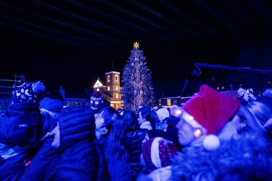 Eglės įžiebimas džiaugsmą atnešė ne visiems kauniečiams: pasijuto kaip šunys