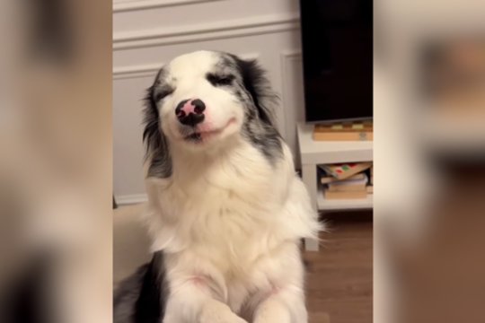 Grakštumo įsikūnijimas: ši dama žino, kaip patraukti dėmesį