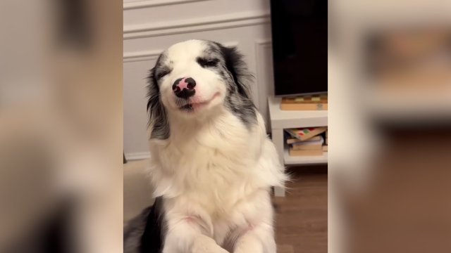 Grakštumo įsikūnijimas: ši dama žino, kaip patraukti dėmesį