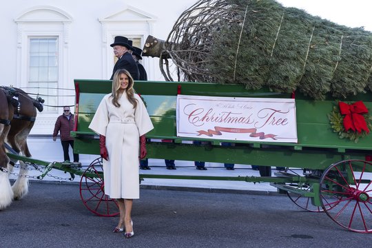 JAV pirmoji ponia priėmė į Baltuosius rūmus atgabentą Kalėdų eglę