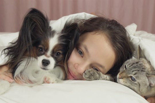 Dėl kačių ir šunų mėsos vartojimo kai kuriose šalyse – svarbus sprendimas