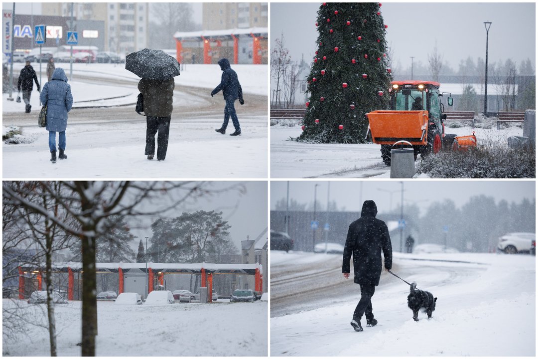 Žiemiški vaizdai Vilniuje. <br>V.Skaraičio nuotr. 