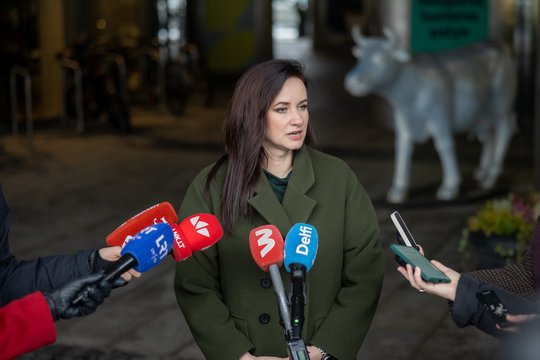 I. Rugienės pastabų sulaukęs A. Paulauskas: per dažnas komunikavimas kenkia tyrimams