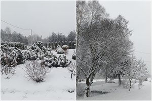 Sinoptikai patikslino, kur iškrito daugiausia sniego