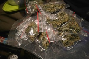 Ukmergėje ir Ukmergės rajone policija rado kvaišalų – pradėti ikiteisminiai tyrimai