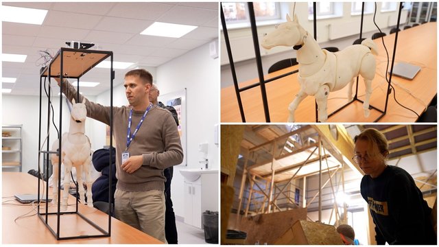 Atsinaujinantis Panevėžio lėlių vežimo teatras pristato unikalų arkliuką: atliks svarbią misiją