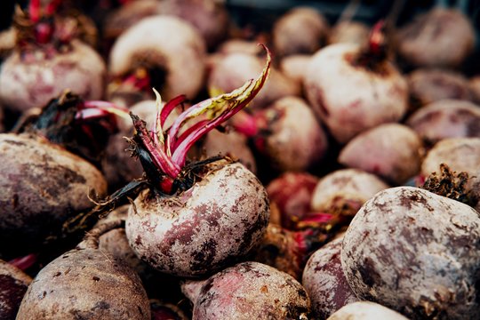 Padėkite tai į dėžės dugną ir burokėliai nesuges visą žiemą: patikrinta