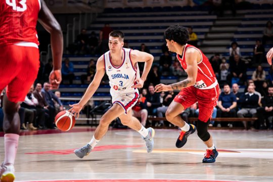 Serbai namuose išvengė pažeminimo prieš šveicarus