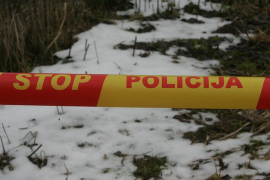 Tragiška nelaimė Vilkaviškio rajone: krentančio medžio šaka mirtinai sužalojo vyrą