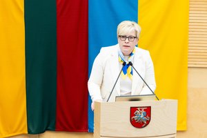 I. Šimonytė: jeigu R. Žemaitaitis imtų terorizuoti socialdemokratus, būtų galima kalbėtis dėl palaikymo biudžetui