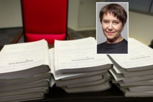 Po daug triukšmo sukėlusio straipsnio – skirtingos ekspertų išvados: „Tai lyg pasaka be galo?“