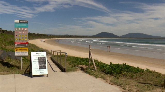 Populiariame Australijos paplūdimyje – ryklio ataka: šveicarė mirė, jos vyras sunkiai sužalotas