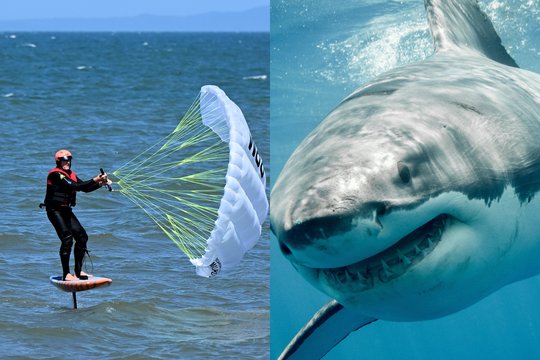 Paplūdimyje – kraupi tragedija: ryklys užpuolė turistų porą, moteris neišgyveno