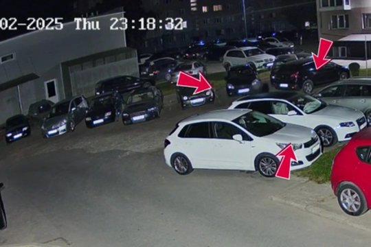 Tamsa prisidengęs piktadarys Alytuje subadė moters automobilio padangas - nusikaltimą užfiksavo vaizdo kamera