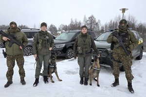 Lietuvos pasieniečių kinologės Latvijoje padėjo sulaikyti iš Baltarusijos įsibrovusį neteisėtą migrantą