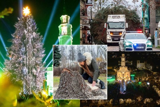 Kauno eglę puošusi K. Rimienė prabilo apie užkulisius: „Džiaugiuosi, kad turėjau vidinės stiprybės nepalūžti“