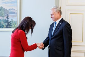 S. Malinauskas prognozuoja naują smūgį G. Nausėdai ir socialdemokratams: „Turime kelias sužeistas antis“