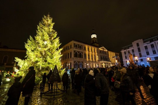 Bus įžiebta pagrindinė Rygos Kalėdų eglė