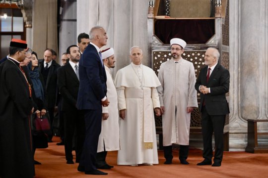 Popiežius apsilankė Mėlynojoje mečetėje Stambule