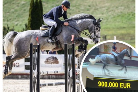 Aukcione – už beveik milijoną eurų parduotas Vilniaus žirgyne treniruotas žirgas