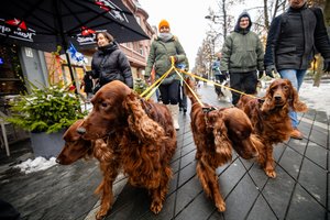 Kaune – mieliausios „Draugo“ dienos eitynės