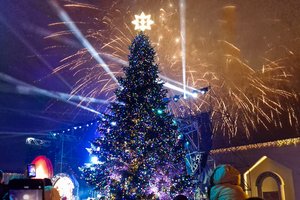 Klaipėdoje – Kalėdų magija: ant įspūdingos žaliaskarės suspindo tūkstančiai lempučių, nušvito miestas