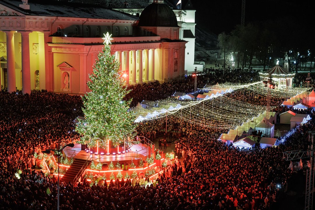 Vilniaus Kalėdų eglė 2025.<br>V.Skaraičio nuotr.