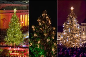 Trys Baltijos sesės – trys Kalėdų eglės: kaip puošiasi Vilnius, Talinas ir Ryga