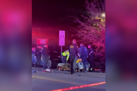 Tragedija Kalifornijoje: per šeimos susibūrimą užpuolikai nušovė 4 žmones