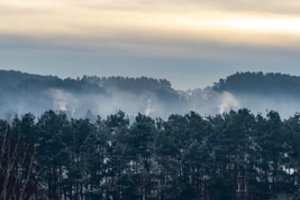 Sinoptikas paskelbė, kaip atrodys pirmoji žiemos savaitė: ko tikėtis