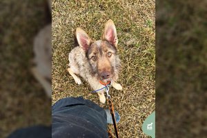 Žavingas jaunuolis laukia kantrių žmonių, kuriems galėtų dovanoti visą savo meilę